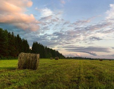 Осенняя страда
